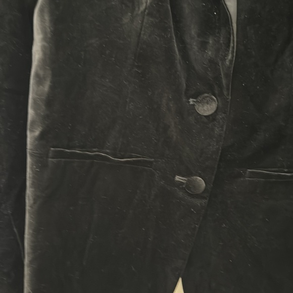 Velvet Blazer - Picture 3 of 3
